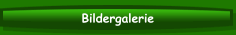 Bildergalerie